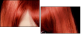 53895869