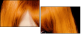 53895937