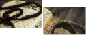 55994100