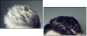 56245304