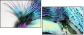 58274972