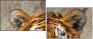 59798134