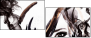 59808292