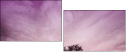 65457825