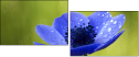 6756687