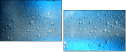 68296210