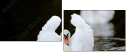 71193352