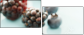 75558207