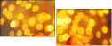 75658632