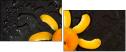 76101824