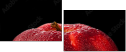 78900295