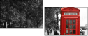 8421281