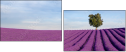 9059586
