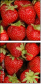 106091