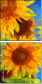 108425376