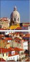 10869617