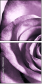 11865044