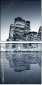 11924591