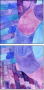 119684903