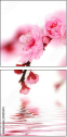 12025476