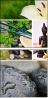 12445370