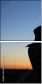 137171558