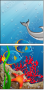 14413857