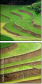 15713254