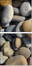 15773102