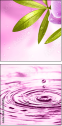 20055851