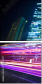 20637297