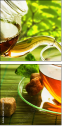 21155419