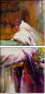 21651193