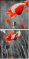 22284891