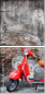 22425722