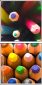 22530826