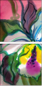 24717033
