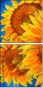 256376669