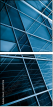 26147316