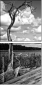 26523822