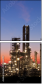 27025909
