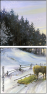 27865085