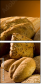 2788091