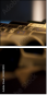 28820813