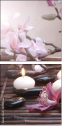 29087666