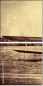 29827412
