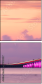 299813537