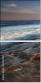 30333993