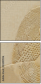 30400596