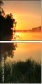 30509189